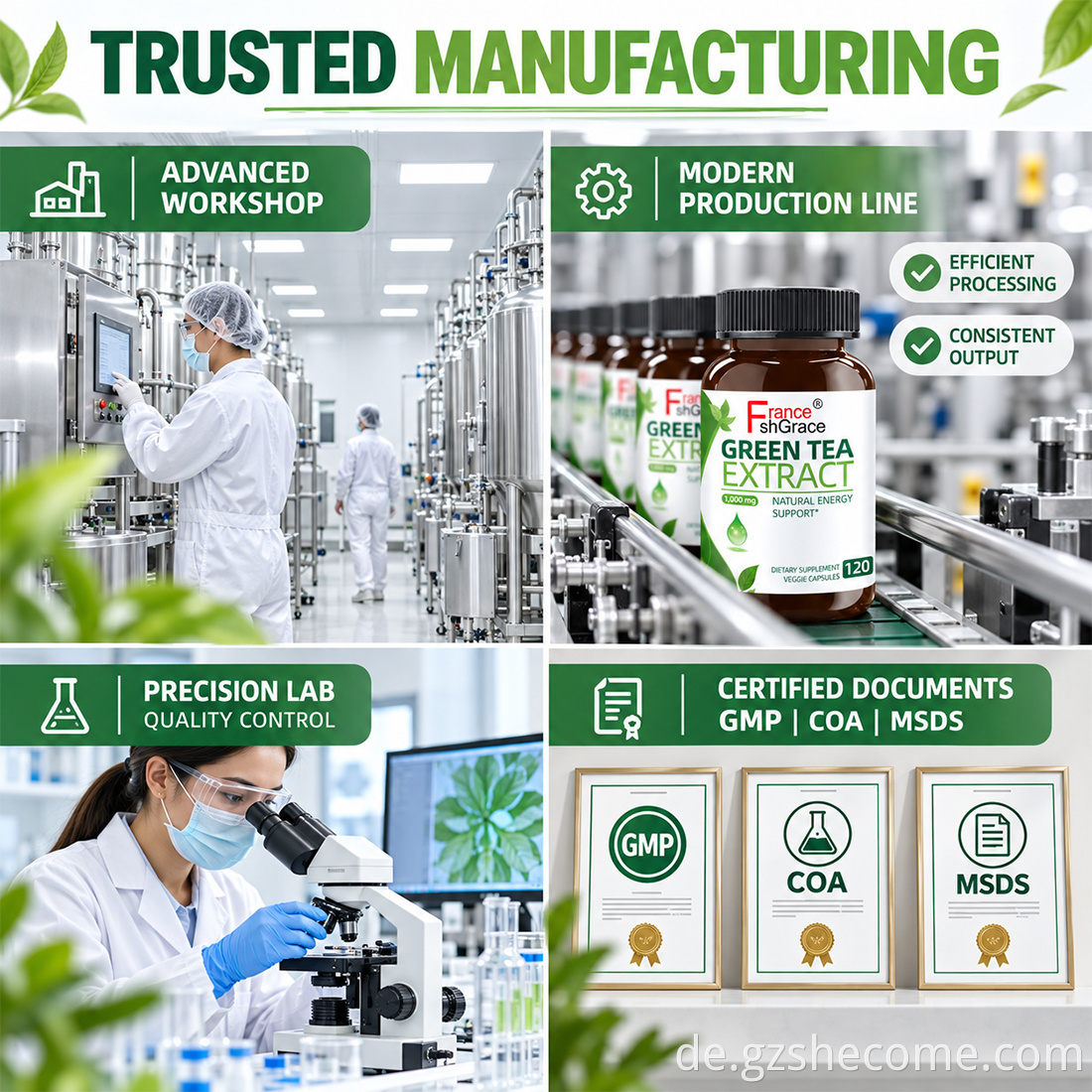 Green Tea Extract Capsules10